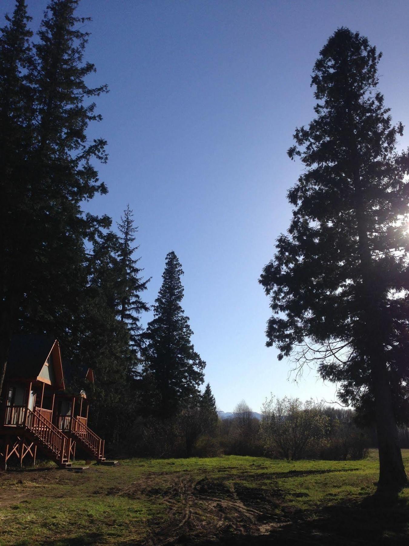 Hidden Acres Farm And Treehouse Resort Terrace Buitenkant foto